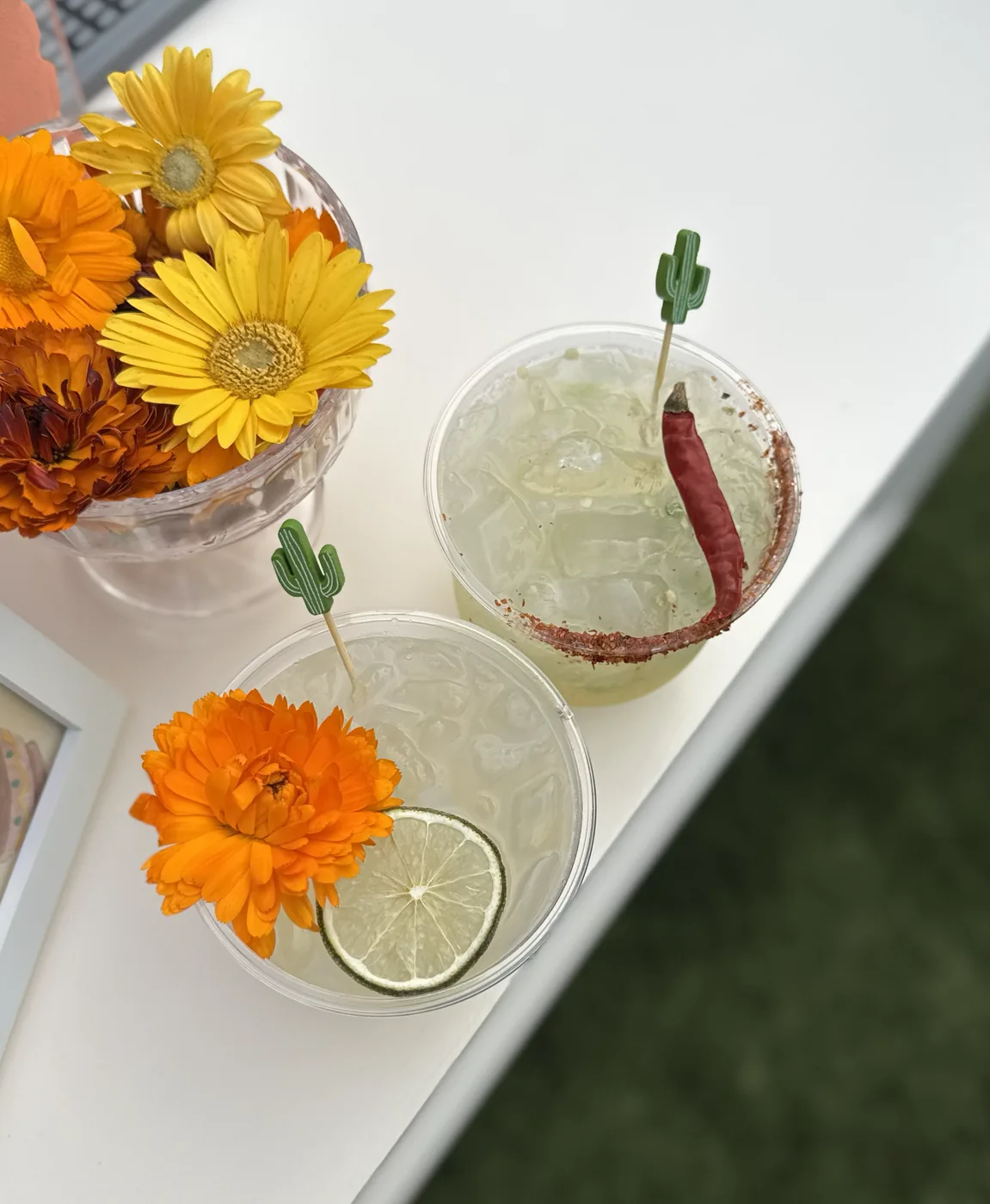 Two margaritas on a white bar, one chilli rimmed with a dried chilli, both on cactus picks